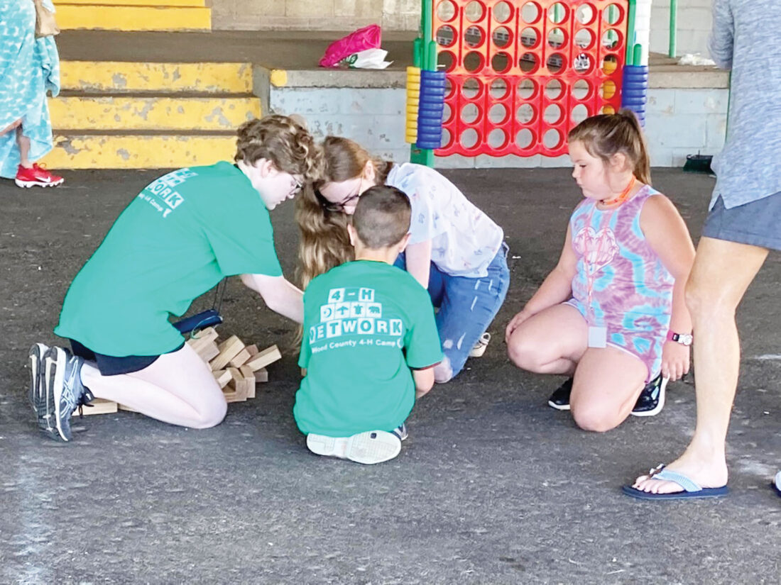 Wood County 4H camp proves a fun, educational experience for kids